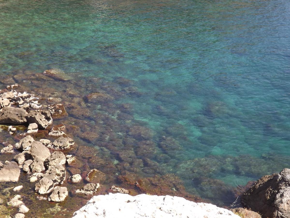 Le Cytharis Apartman La Ciotat Kültér fotó